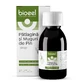 Patlagina and pine buds syrup, 120 ml, Bioeel